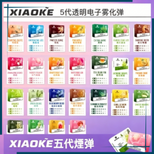 XIAOKE五代電子煙煙彈，台灣熱賣款