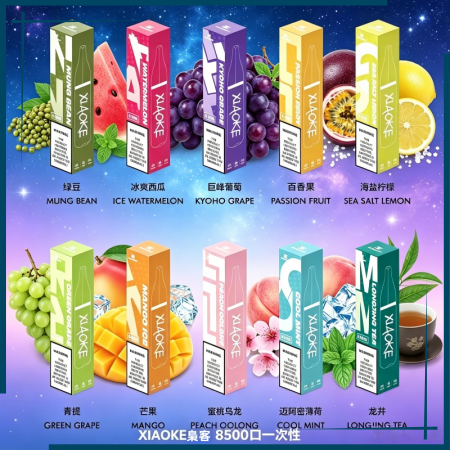 XIAOKE梟客 8500口一次性電子煙|多種冰感水果口味,台灣熱賣款拋棄式電子菸